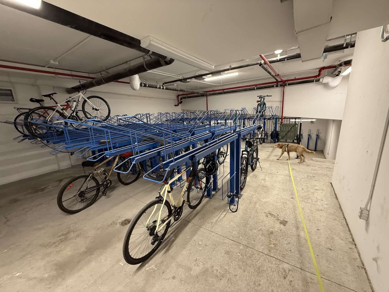 One Cardiff Road — photo 9